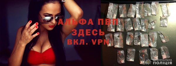 спайс Магас