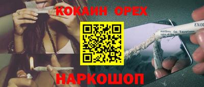 гидропоника Будённовск