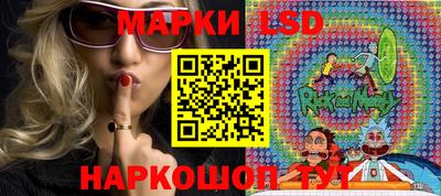 гидропоника Будённовск