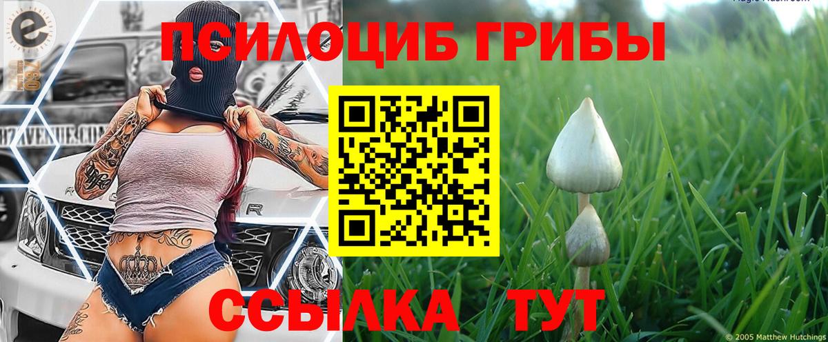 Псилоцибиновые грибы GOLDEN TEACHER Выкса
