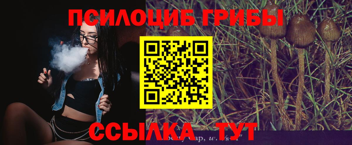 Псилоцибиновые грибы Выкса